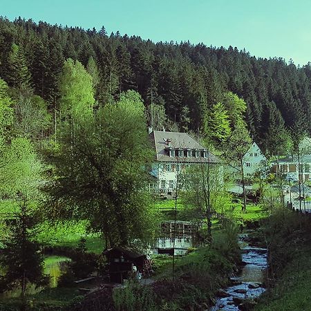 Gut Lauterbad Hotel Фройденштадт Экстерьер фото