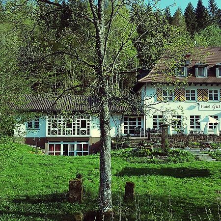 Gut Lauterbad Hotel Фройденштадт Экстерьер фото