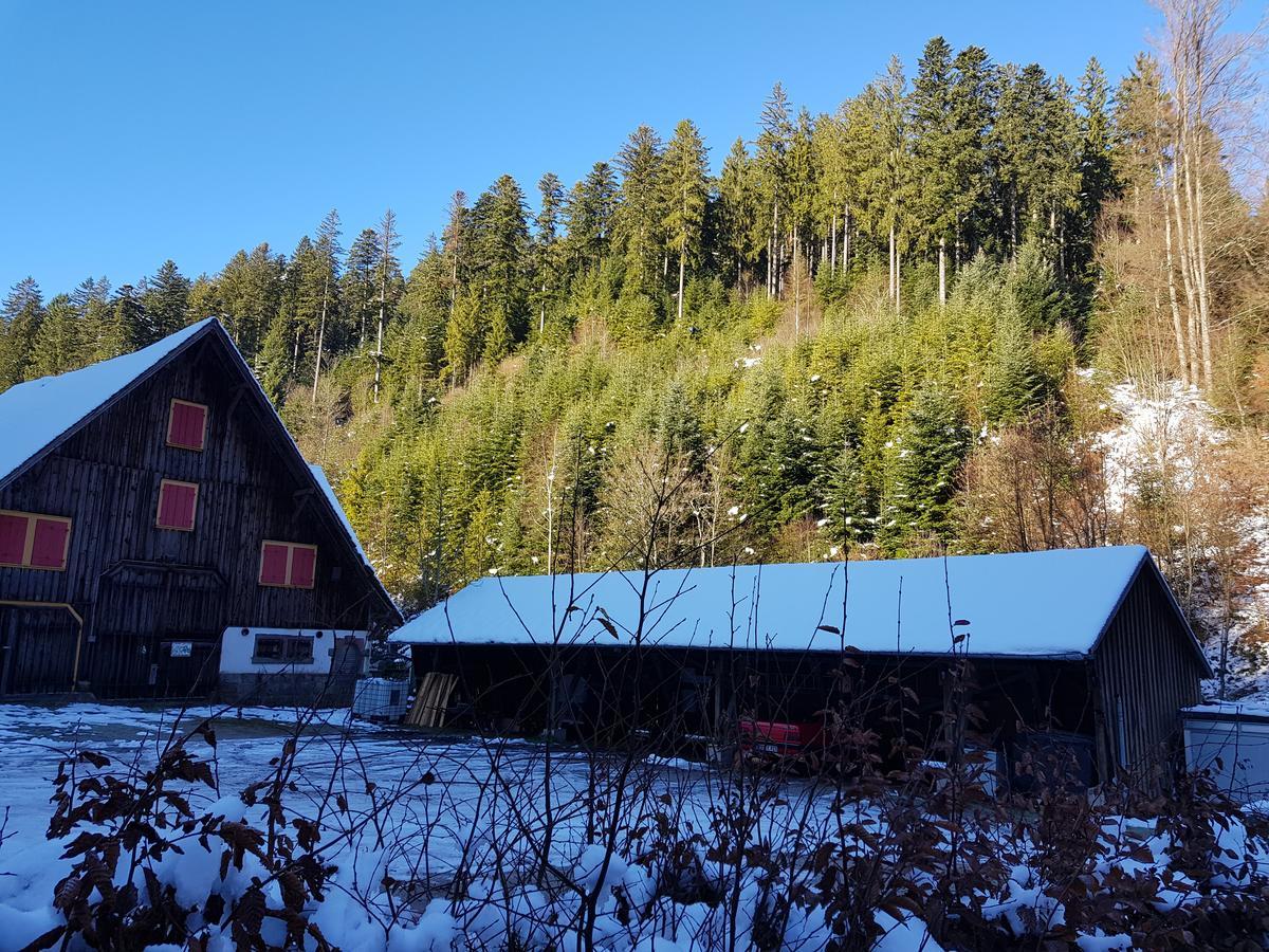 Gut Lauterbad Hotel Фройденштадт Экстерьер фото