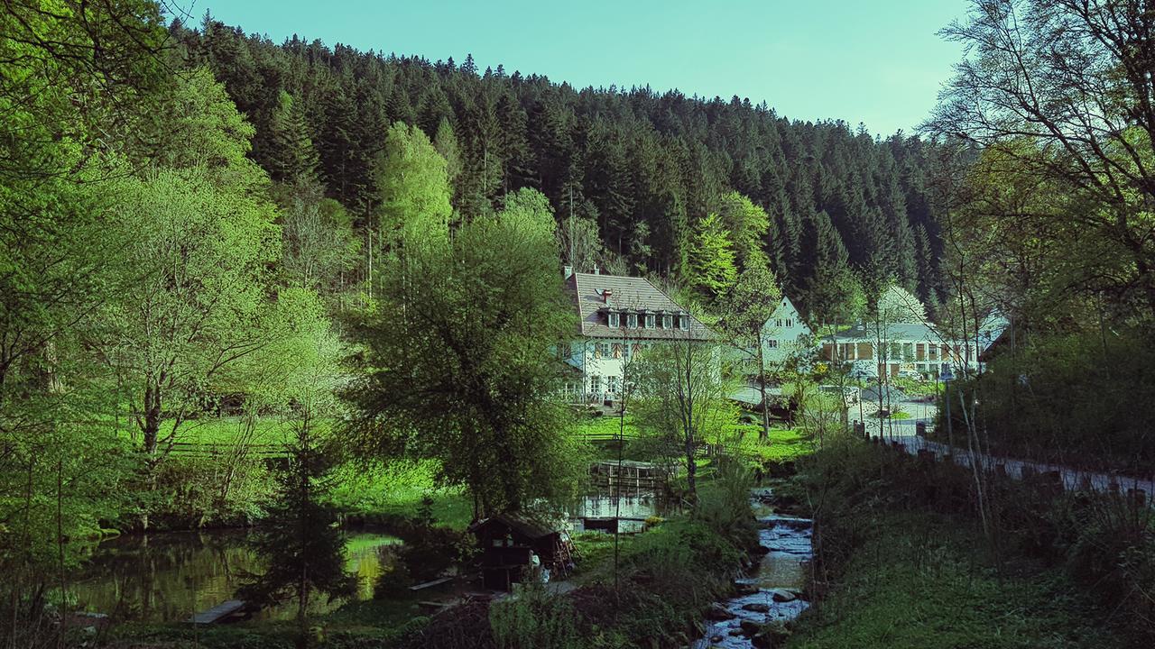 Gut Lauterbad Hotel Фройденштадт Экстерьер фото