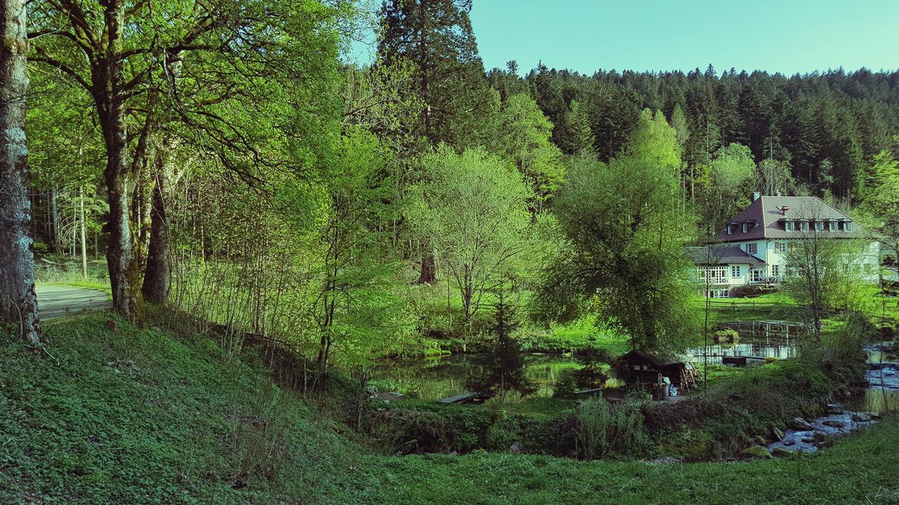 Gut Lauterbad Hotel Фройденштадт Экстерьер фото